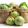Cabbage (Fresh)-500g