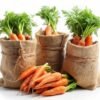 Carrots 1.5kg