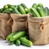 Cucumber (Fresh) 500g